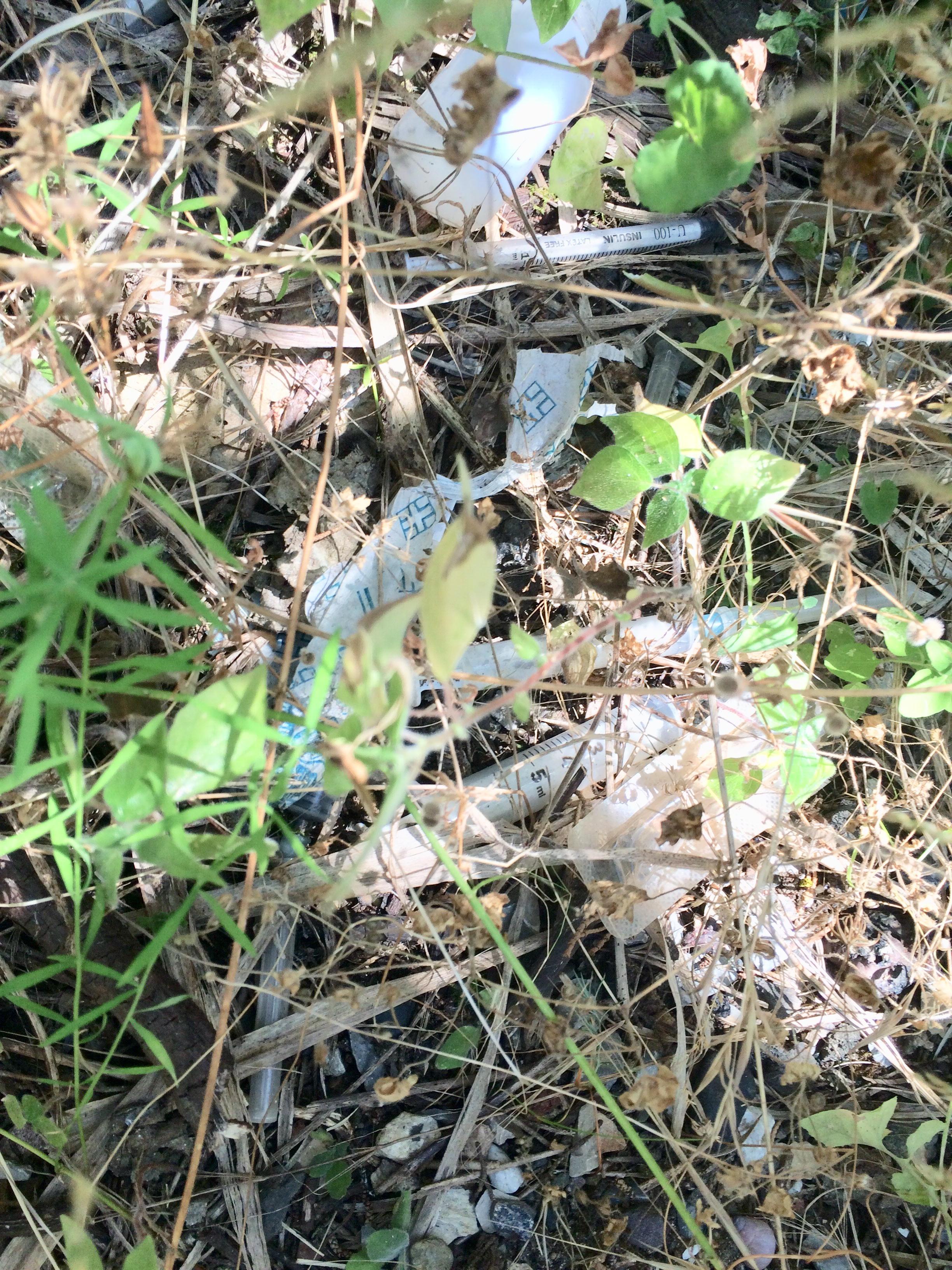 Le siringhe trovate nell'area dell'ex bocciodromo del Dlf