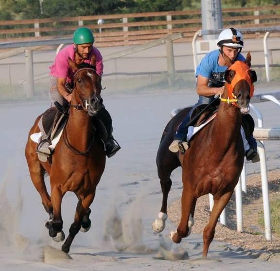 I fantini del Palio di Siena battezzano la pista di galoppo 