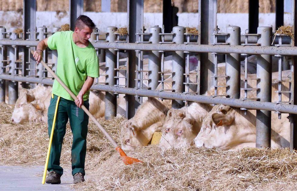 Bonifiche Ferraresi Sì all’aumento di capitale 