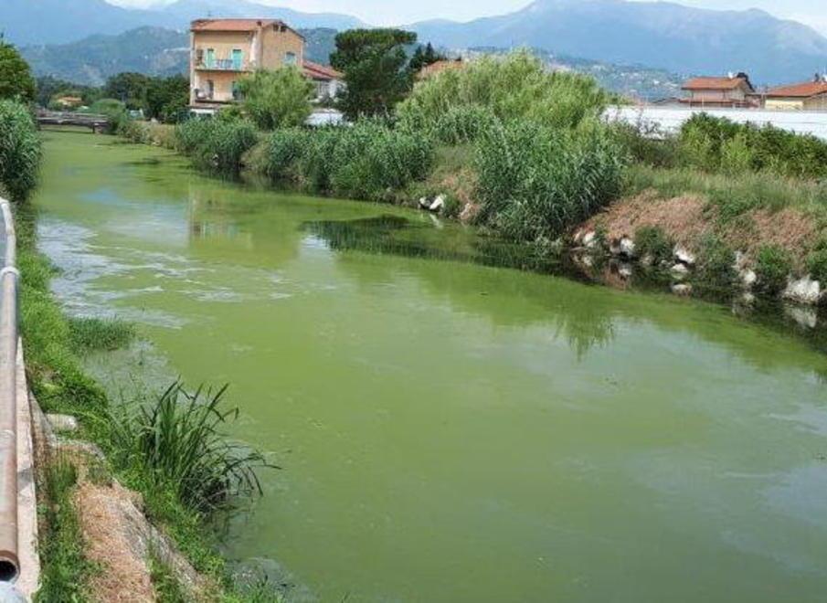 Farabola ricoperta da uno strato verde protestano gli ecologisti