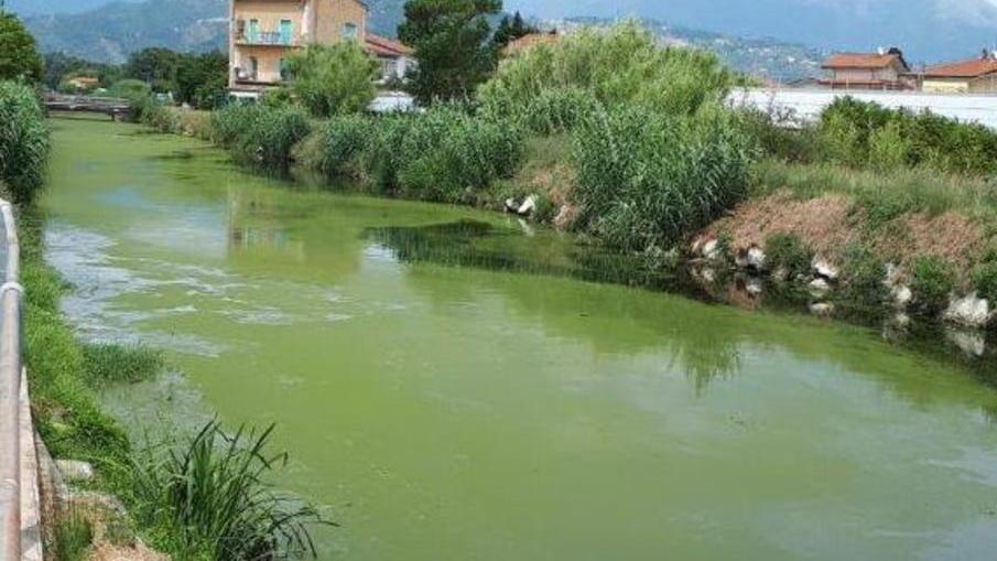 Farabola ricoperta da uno strato verde protestano gli ecologisti