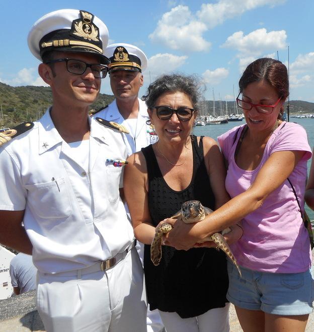 Soccorsa e curata la tartarughina è tornata a nuotare nel suo mare
