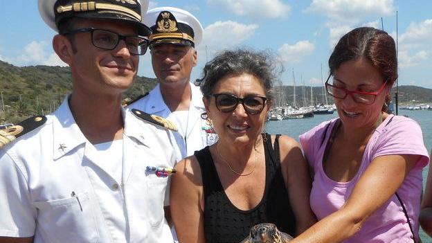 Soccorsa e curata la tartarughina è tornata a nuotare nel suo mare