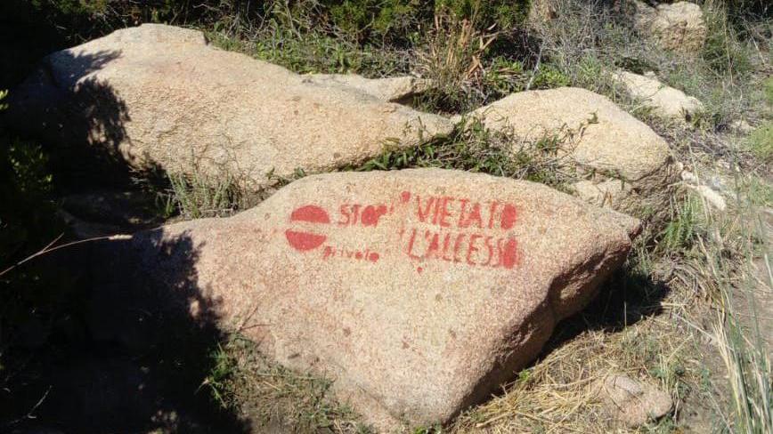 Scritte sulle rocce di Cala Girgolu
