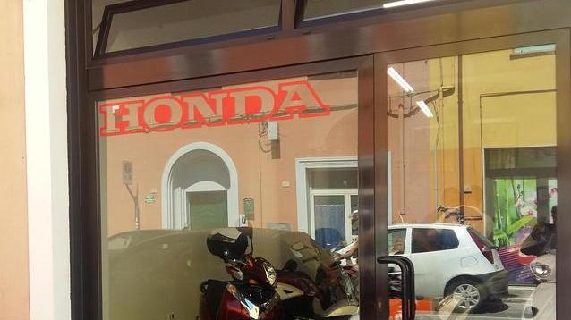 «Ministro, ci aiuti su 398 e contributo d’imbarco»