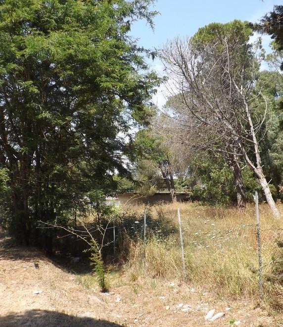  Parco della Gioventù «Non fate il parcheggio nell’area dei bambini»
