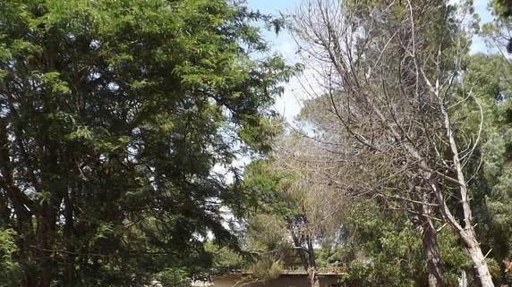 Parco della Gioventù «Non fate il parcheggio nell’area dei bambini»