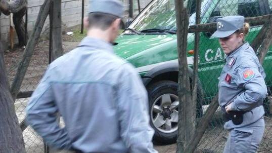 Eco-reati, Livorno nei guai Spicca sul resto della Toscana