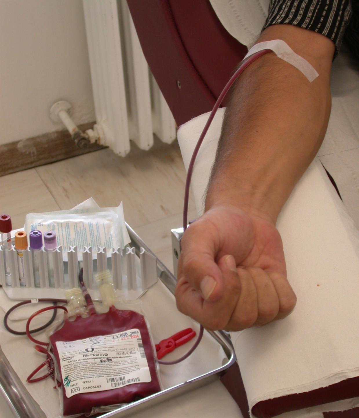 Sangue, l’appello dell’Aou: «Donate anche d’estate» 