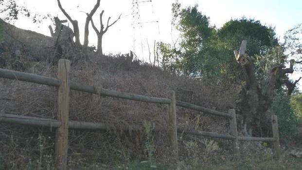 Il Pd accusa la giunta «L’antica Rocca giace nel completo degrado»
