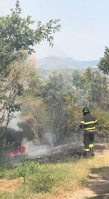 Incendio lambisce podere