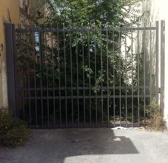 Per strada si scatena la “caccia” all’iguana 