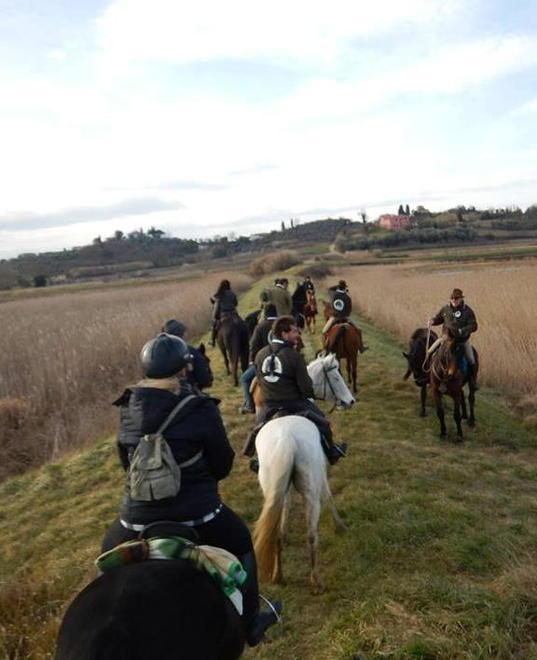 Guardie ambientali a cavallo per sorvegliare il Padule 