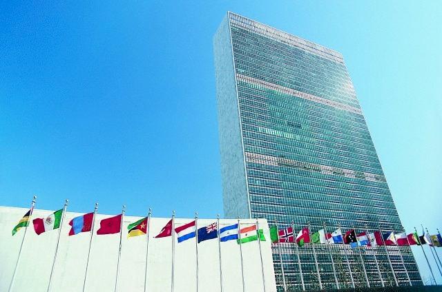 L'Onu dichiara guerra al Parmigiano Reggiano