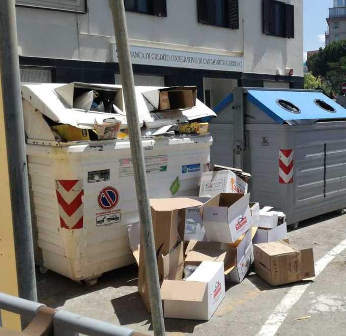Cassonetti stracolmi di rifiuti E i cartoni volano per strada 