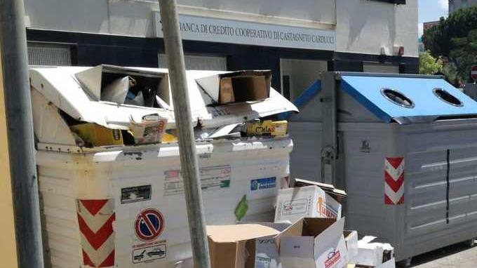 Cassonetti stracolmi di rifiuti E i cartoni volano per strada