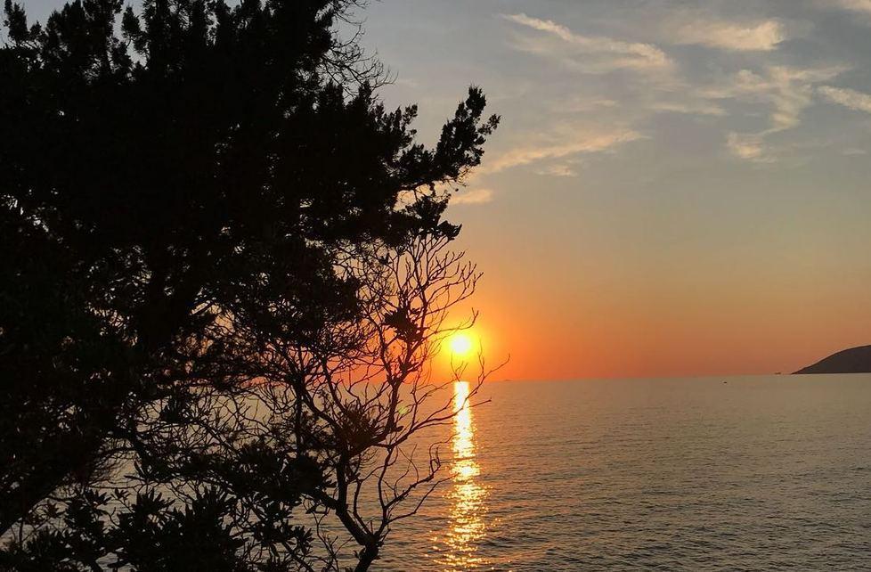 Il sole sbuca e tramonta dietro la vegetazione