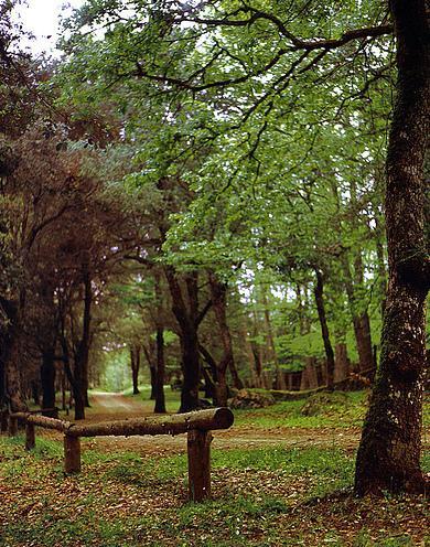 Acqua “non potabile” nelle fonti montane del territorio di Bultei 