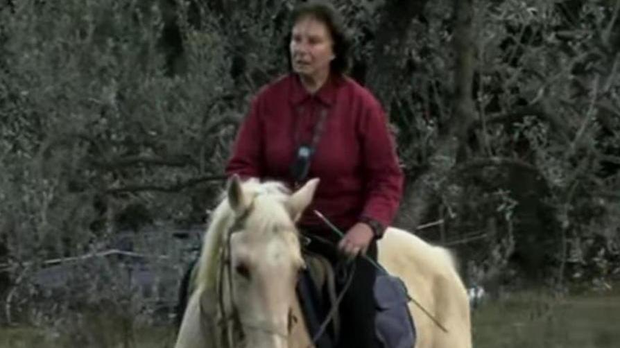 A spasso nella natura su un cavallo È l’Ora Blu