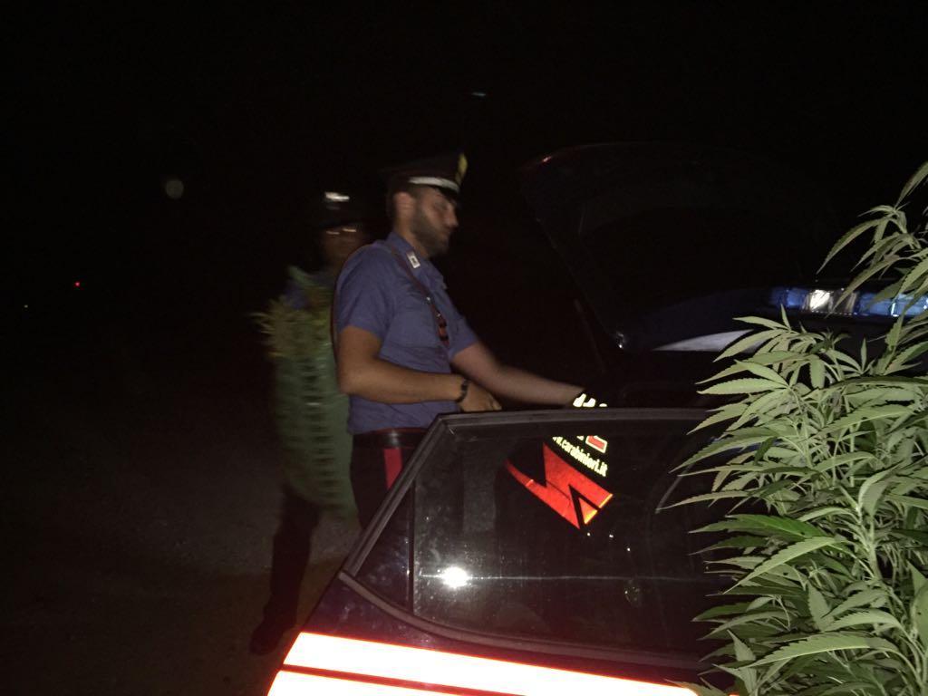 Padre e figlio arrestati per spaccio a Torre dei Corsari