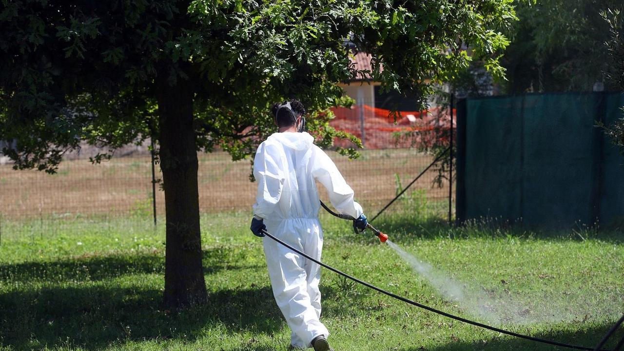 Sospetto caso di Zika, disinfestazione a Ripapersico