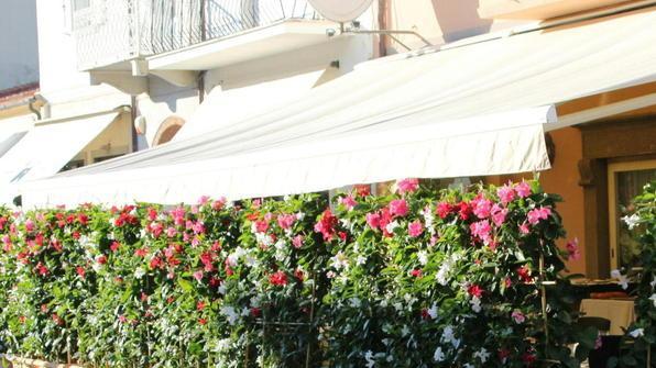 Multato Lorenzo del Forte per le fioriere fuori posto
