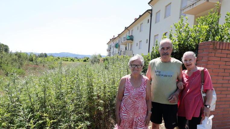 Alcuni residenti accanto al terreno abbandonato proprio a ridosso delle case (Foto Agenzia Carlo Sestini)