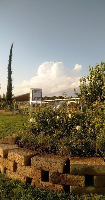 Conto alla rovescia per il Toscana Endurance In allestimento la mega tenda dello sceicco