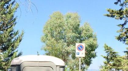 Bagno nello stallo dei disabili