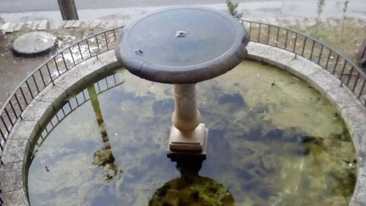 Camionista rompe la fontana e scappa