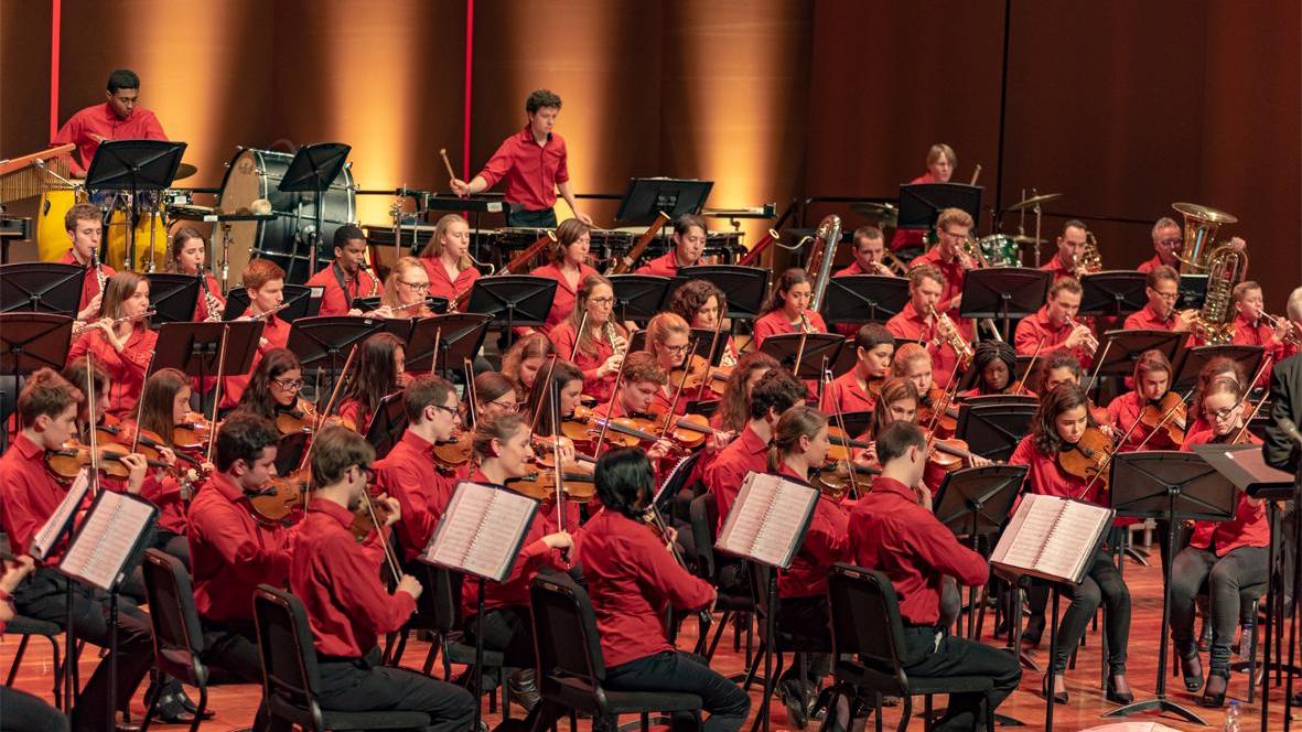 La Almeers Youth Symphony Orchestra