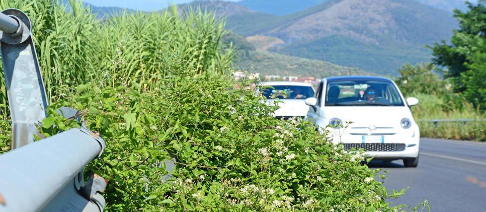 Taglio dell’erba impossibile lungo le strade provinciali