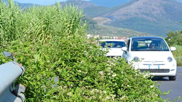 Taglio dell’erba impossibile lungo le strade provinciali