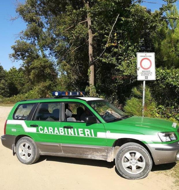 Cento automobilisti stangati per la sosta nei vialetti antincendio 