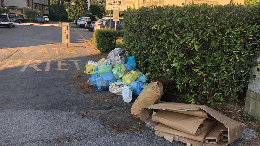 Cinque Stelle: controlli sul fosso Farabola