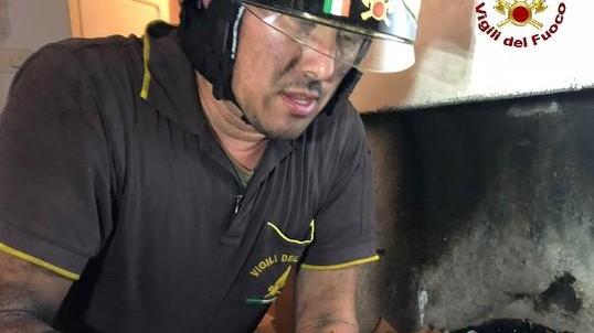 Gabbiano nel camino viene salvato dai vigili