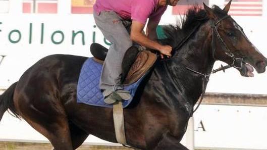Galoppo ai Pini, c’è il via libera da Roma Si parte il 25 luglio e si corre tutto agosto