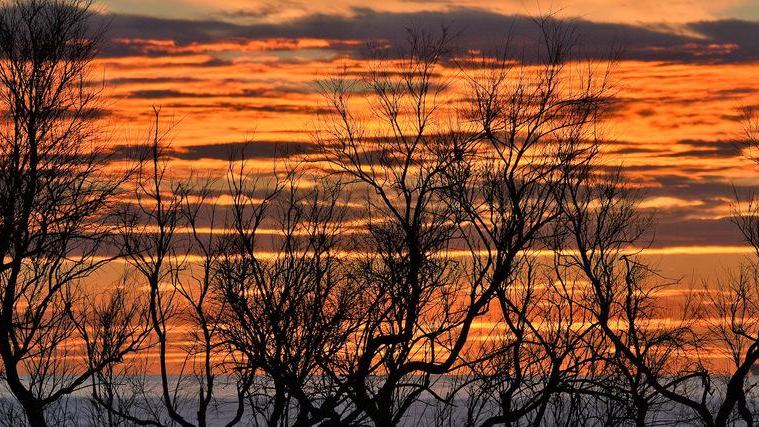 Il tramonto, le tamerici e il cielo infuocato