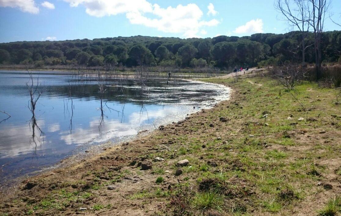 «Fermate subito le doppiette nell’oasi di Baratz» 