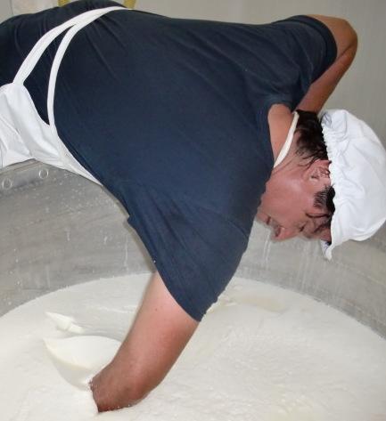 Pecorino a latte crudo, la scommessa 