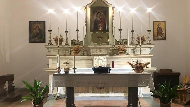 Due gattini abbandonati sull’altare della chiesa Lo strano caso di Pescina