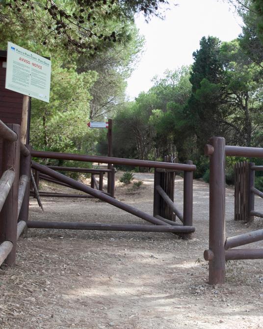  Punta Giglio, dalla borgata di Maristella bocciano il ticket