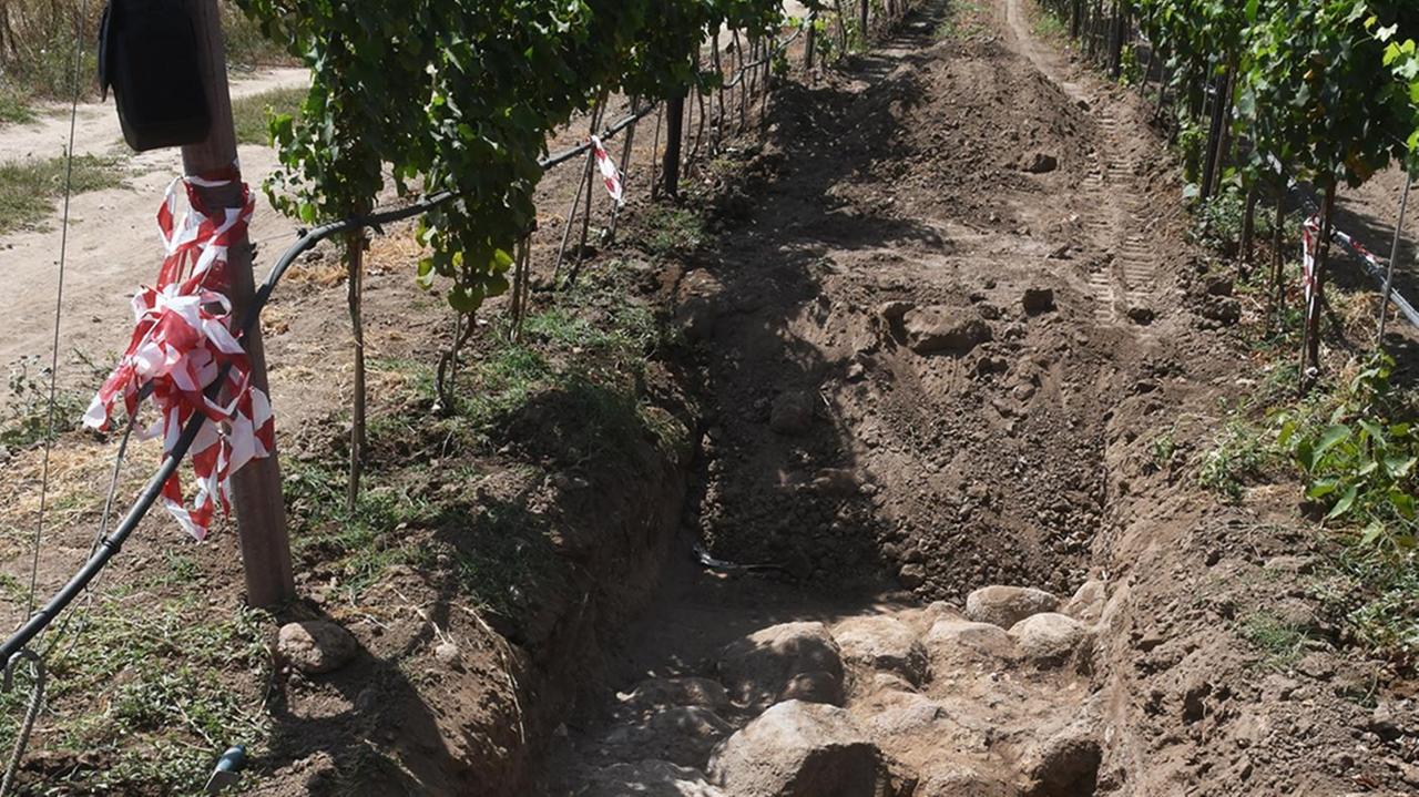 Mont’e Prama, una vigna sui resti archeologici: gli scavi riprendono da qui