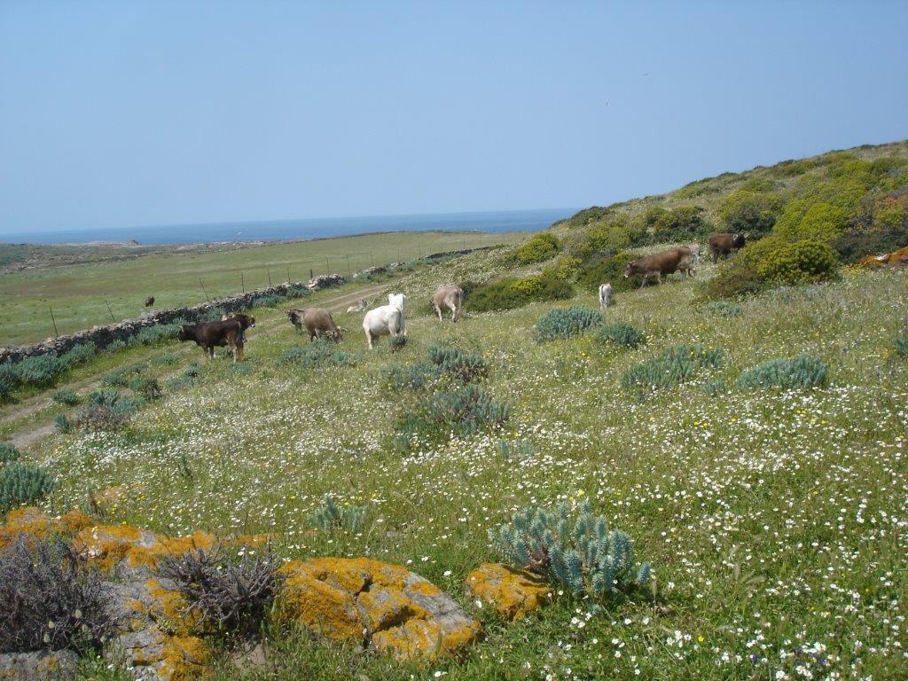La natura sarda è una ricchezza per il turismo