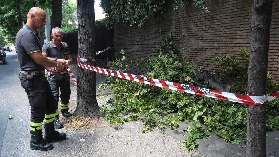 Doppio blitz dei ladri in viale Nazario Sauro