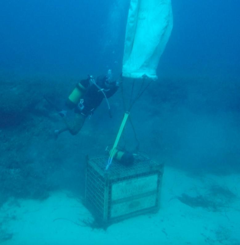 Dal mare di Alghero ritornano a galla gli spumanti Akenta