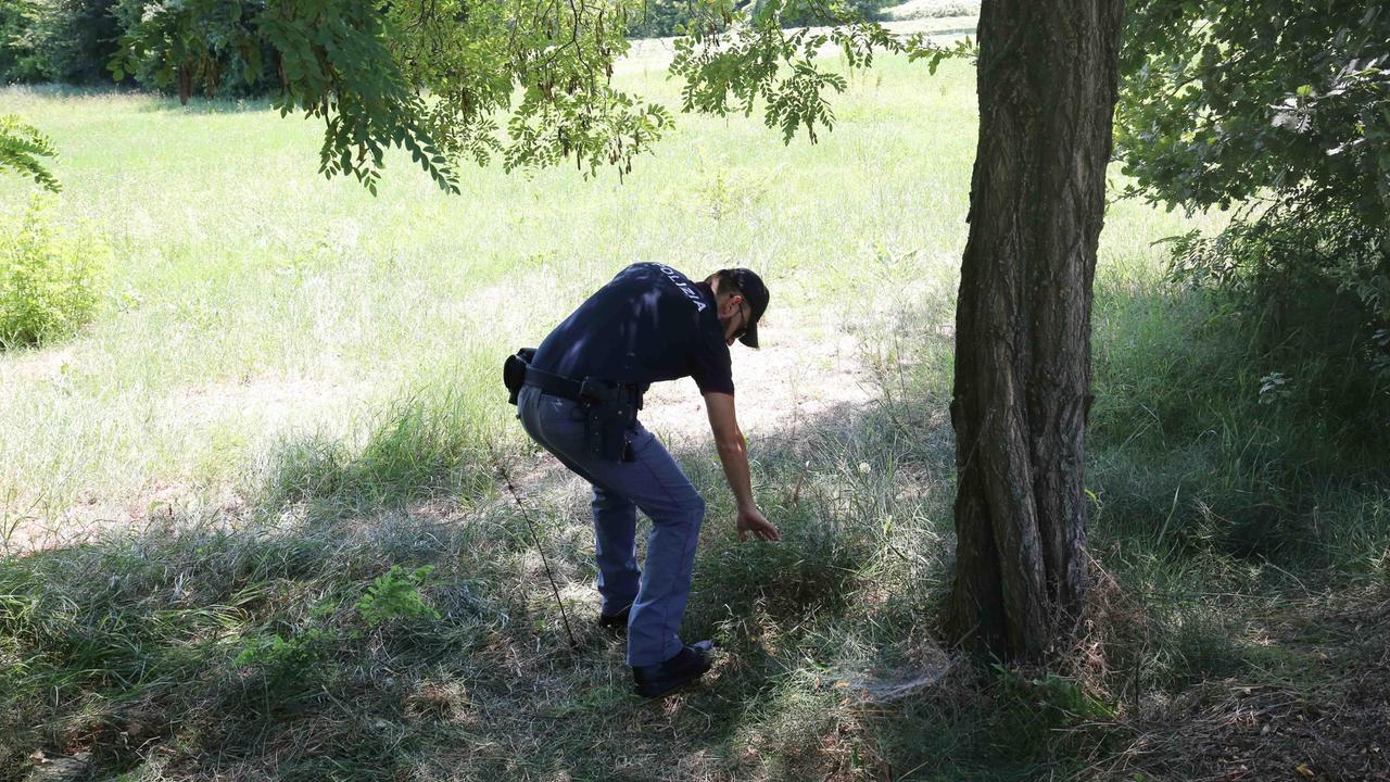 Reggio Emilia, ragazza violentata durante la passeggiata: è caccia all'uomo
