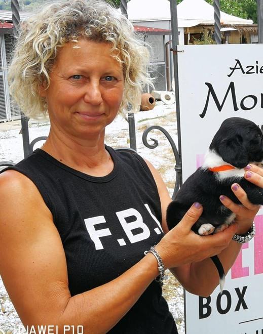 Hanno trovato una casa i dieci cuccioli lasciati in una scatola per strada