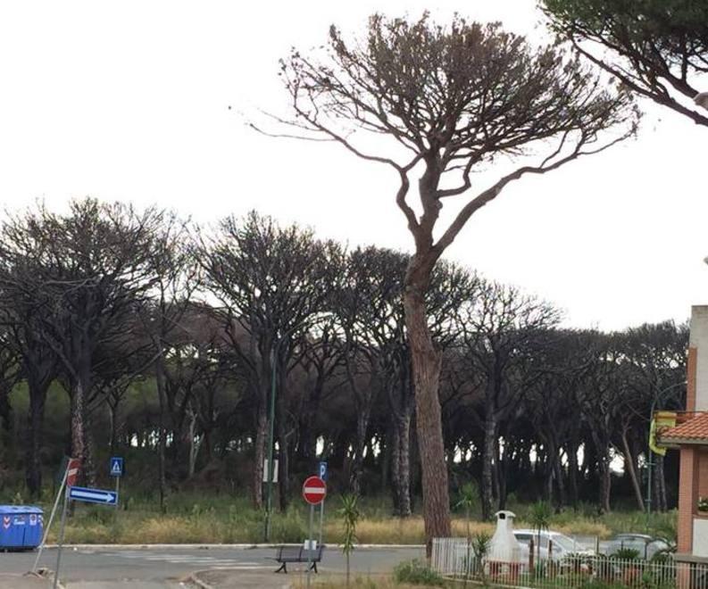 I segni del rogo dopo un anno: la denuncia degli abitanti 