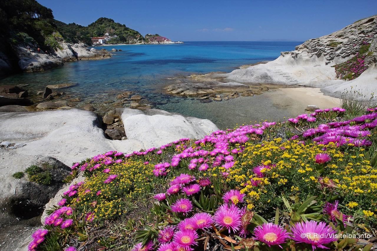Tra aromi e profumi: all'Elba la natura si respira anche così 